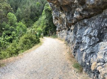 Randonnée Marche Fanlo - Canyon d’Anisclo et village 10 km - Photo