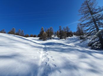 Tour Schneeschuhwandern Vars - Sur les pentes ouest de Peynier  - Photo