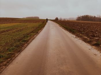 Trail Walking Le Rœulx - La Haye du Roeulx  - Photo