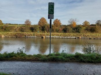 Trail Walking Pont-à-Celles - PONT - A - CELLES _ Marche Fédérale _ Hainaut _ 31/10/2021 - Photo