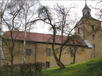 Tour Zu Fuß Alheim - Braach Rundweg B2 - Photo