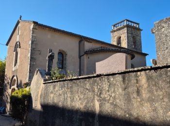 Tocht Stappen Sault - Monieux le Vallat du Loup - Photo