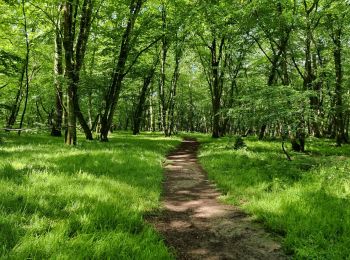 Tour Mountainbike Le Brethon - rouge et noir - Photo