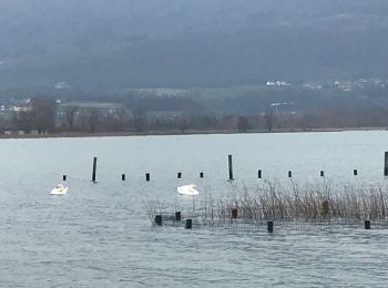 Randonnée Marche Viviers-du-Lac - Les Mottets - Photo