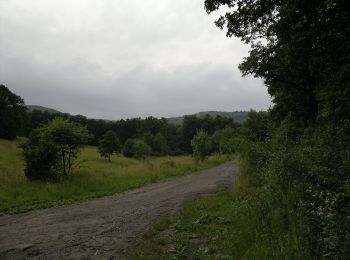 Trail On foot Felsőtárkány - K+ ( Stimecz-ház - Tamás-kút ) - Photo