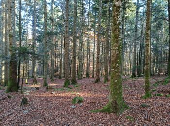 Randonnée Marche Claix - Le plateau du Peuil - Photo