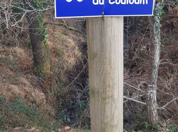Trail Walking Moliets-et-Maâ - sentier du Couloum - Photo