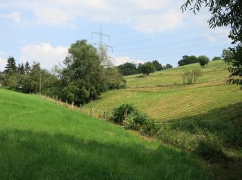 Randonnée A pied Inconnu - Rundweg um Kupferdreh - Photo