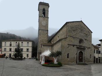 Tour Zu Fuß Bagno di Romagna - IT-167B - Photo