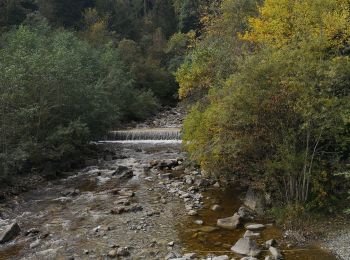 Tour Wandern Alpnach - gruber alpnach - Photo