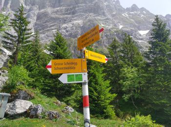 Tour Zu Fuß Grindelwald - CH-Unterlauchbühl - Bort - Photo