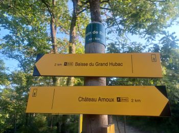 Excursión Senderismo Château-Arnoux-Saint-Auban - CHATEAU NVSD . LE TOUR DES AMARINES N - Photo
