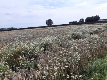 Tocht Mountainbike Erquelinnes - Grand Reng 15 08 21 - Photo