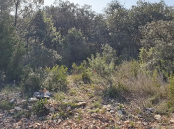 Excursión Bici de montaña Rochefort-du-Gard - Vive les RTT en VTT - Photo