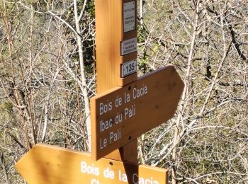 Trail Walking Sigale - '' ''.  - Photo