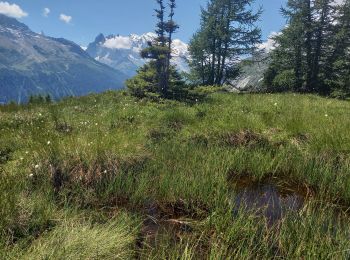 Tour Wandern Chamonix-Mont-Blanc - Aiguillette des Posettes 2201m 6.7.22 - Photo