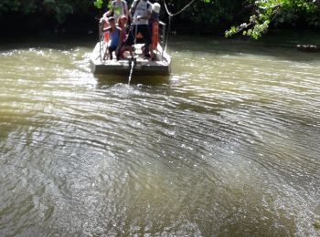 Tocht Stappen La Trinité -  Galion mangrose en boucle  - Photo