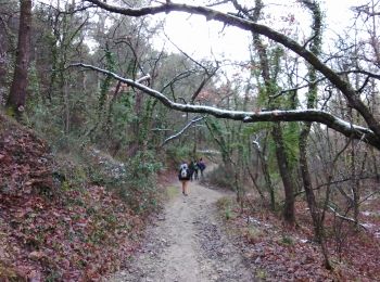 Trail Walking Pernes-les-Fontaines - pernes 84 - Photo