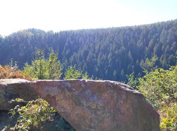 Percorso Marcia Malmedy - Le pouhon des cuves   - Photo