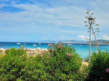 Randonnée Marche L'Île-Rousse - Boucle Ile Rousse - Corbara - Pigna - Santa Réparata - Photo