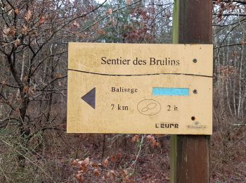Randonnée Marche Criquebeuf-sur-Seine - 20190205-Les Brulains - Photo