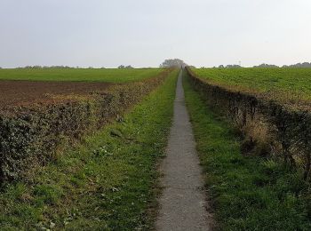 Trail On foot Voerendaal - De Roode draed - Photo