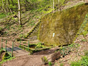 Tour Wandern Lemberg - Lemberg - cascade des Ondines - sentiers des grottes et des étangs - Photo