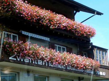 Percorso A piedi Mühleberg - Rosshäusern/Station - Riedbach/Station - Photo