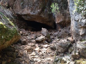 Randonnée Marche Néoules - grotte Régay à Néoules - Photo