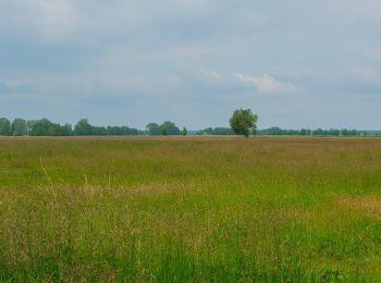 Tour Zu Fuß Straupitz (Spreewald) - Wanderweg Kannomühle-Burg... - Photo