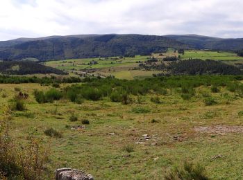 Randonnée Marche Mont Lozère et Goulet - GR_70_AG_07_Mont-Lozere-Goulet_Cubieres_20140921 - Photo