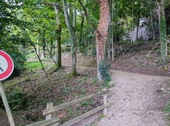 Trail Walking Ax-les-Thermes - Le chemin de la Ramille - Photo