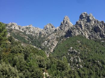 Tour Wandern Quenza - Le Tour des Aiguilles de Bavella - Photo