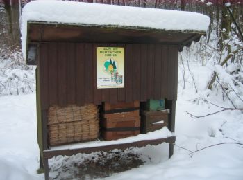 Tocht Te voet Rödinghausen - Rote Route, Nordic Walking Park Rödinghausen - Photo