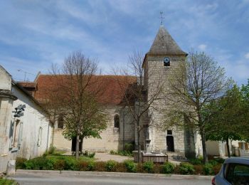 Trail Walking Mareuil-sur-Cher - Mareuil-sur-Cher - Gouffre - 13.7km 218m 2h16 - 2017 04 09 - Photo