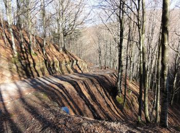 Trail On foot Firenzuola - Sorgenti di Firenze Trekking - Anello 15: Sui monti di Moscheta - Photo