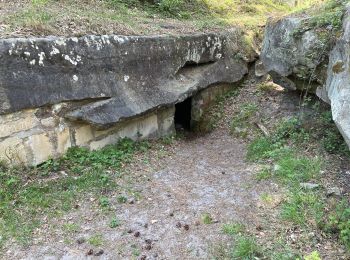 Percorso Marcia Ormoy-le-Davien - Ormoy - Cave du diable  - Photo