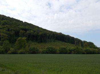 Excursión A pie Szentgál - Szentgáli Tiszafás Tanösvény - Photo