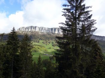 Tocht Stappen Entremont-le-Vieux - Roche-Veyrand-2021-05-27-G3 - Photo