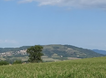 Trail Walking Les Martres-de-Veyre - les Martres De Veyre - Photo