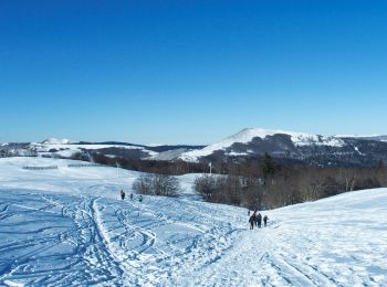 Percorso Racchette da neve Saint-Agnan-en-Vercors - plateau de beure - Photo