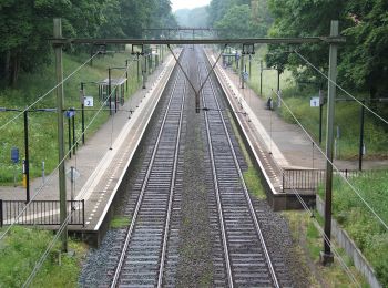 Tocht Te voet Renkum - NS-wandeling Hemelse Berg - Photo