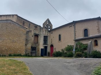 Tocht Stappen Hounoux - CC_Piemont_BC_08_Hounoux_Mirepoix_20240619 - Photo