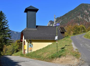 Excursión A pie Gemeinde Reichenau an der Rax - Schneedörfl - Waldburgangerhütte - Photo