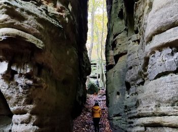 Tour Wandern Berdorf - Les colonnes rocheuses de Berdorf - Photo
