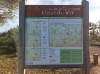 Trail Walking Le Cannet-des-Maures - 20240121 Les Escarcets  - Photo