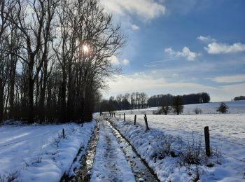 Excursión Senderismo Tinlot - Ramelot sous la neige - Photo