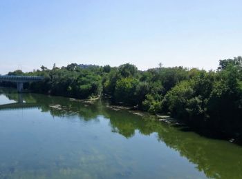 Trail Walking Toulouse - TT19 - Lalande - Ancely - Photo
