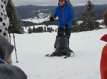 Trail Snowshoes Divonne-les-Bains - La Vatay Suisse - Photo