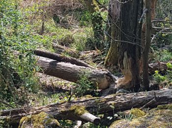 Randonnée V.T.T. Échirolles - La Frange Verte - L'intégrale depuis Seyssins - Photo